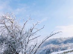 -太子岭滑雪场