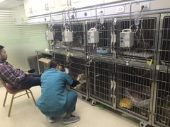 -中农大我爱我爱动物医院(甜水园店)