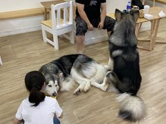 -李小姐の猫咖啡馆(五角场店)