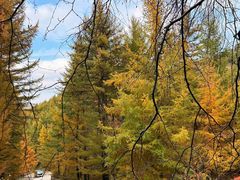 -苏木山森林公园