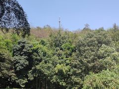 -敬亭山风景名胜区