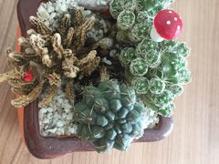 -GANSO元祖食品(白下店)