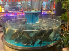 -魏铭鱼头捞饭(晋阳路店)