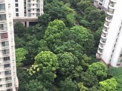-新湖明珠城