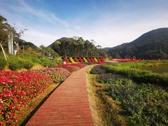 -广州市石门国家森林公园