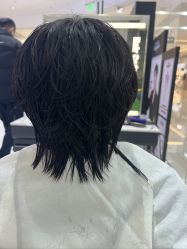 -HairCode芭曲发型