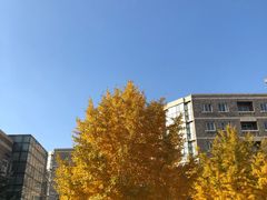 -辽宁大学(崇山校区)