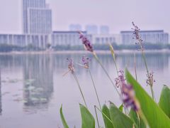 -尚贤河湿地
