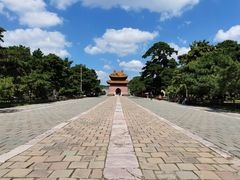 -北陵公园