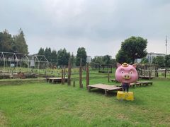 -田园东方蜜桃村的田野营地