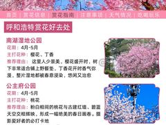 -乌素图国家森林公园