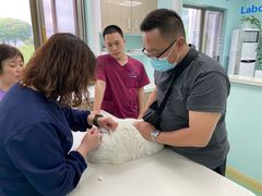 -北京观赏动物医院·24小时大型综合·猫专科·异宠专科