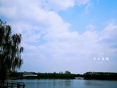 -大兴滨河森林公园