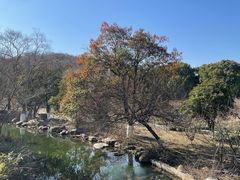 -白马涧龙池景区