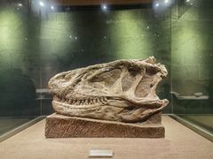 -自贡恐龙博物馆