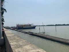 -大湾区中央湿地公园-十九涌