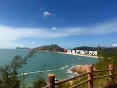 -广东惠东海龟国家级自然保护区