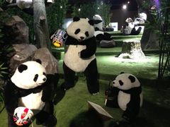 -成都泰迪熊博物馆