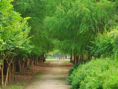 -广富林郊野公园