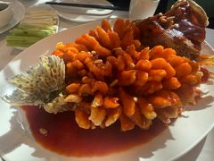 -洋洋中餐馆·SINCE 1997(信投店)