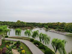 -上海鲜花港