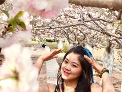 -济南国际园博园