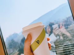 -白茶原·一片叶子