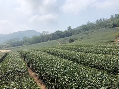 -优游吧斯邹族文化部落