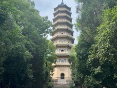 -灵谷景区