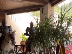 -重庆海昌加勒比海水世界