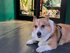 -METAL HANDS(五道营店)