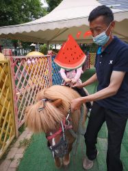 -萌宠亲子动物乐园(槐房万达店)