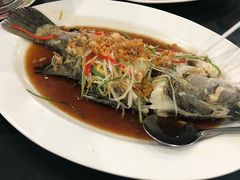 -光海鲜鱼翅餐厅(叻差拉披色路店)