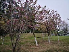-火炉山森林公园