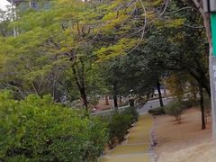 -中国移动南方基地