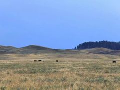 Lamar&nbsp;Valley-拉马尔山谷