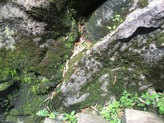 -陶祖圣境风景区