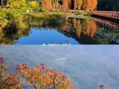 -广州市石门国家森林公园