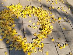 -石家庄市植物园