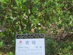-苏州太湖国家湿地公园