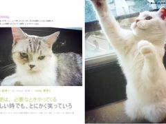 -炭舍干锅·烤鱼(扬名广场店)