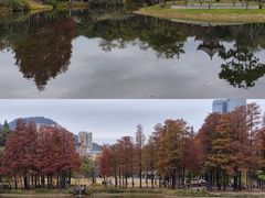-四海公园(南山区)