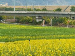 -光明小镇欢乐田园
