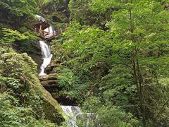 -碧峰峡风景区