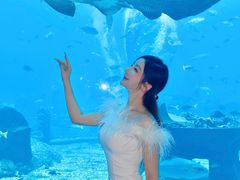 -亚特兰蒂斯•OSSIANO奥西亚诺海底餐厅