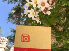 -北京石刻艺术博物馆(五塔寺)