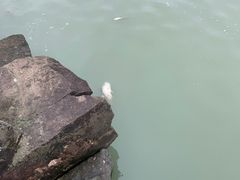 -东钱湖小普陀景区