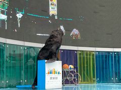 景点-上海欢乐谷