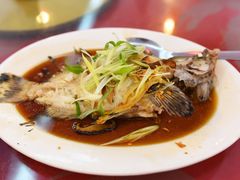 清蒸老鼠斑-大茄来海鲜餐厅(亚洲城分行)