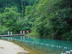 -广州白江湖森林公园